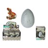 Dino Hatching Egg, 10 cm, with Growing Dinosaur Inside