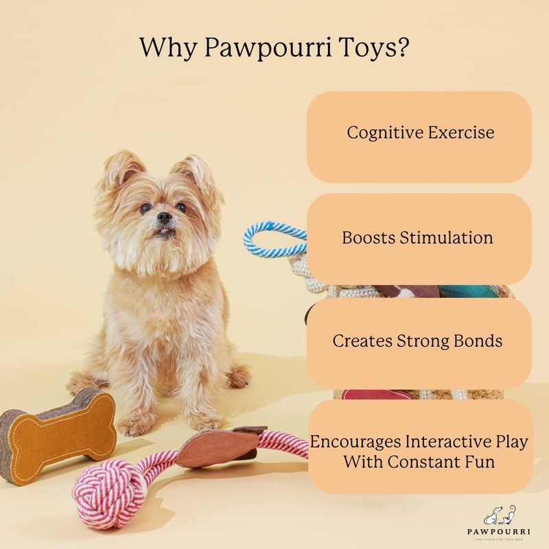 PAWPOURRI Rope & Suede Toy for Adult Dogs, Puppies, Cats