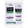 Softto+Plus Tea Tree Clay Mask Anti-Acne Face Mask Against Acne