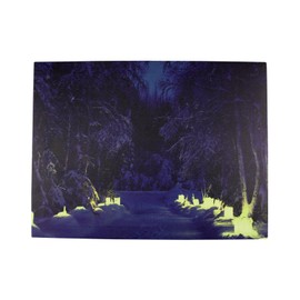 Northlight LED Lighted Nighttime in The Woods Winter Scene Canvas Art 11.75" x 15.75" Wall Decor, Blue