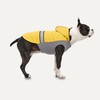 Reflective Hooded Raincoat for Dogs (Yellow, 2XS)