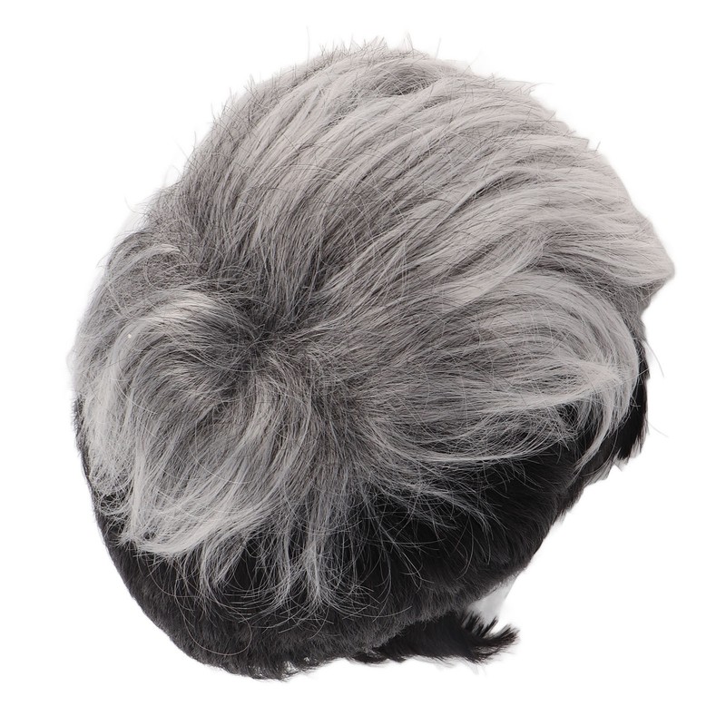 Men Wig Heat Resistant Short Grey Layered Airy Natural Stylish