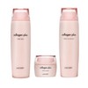 Laquebert Lac Vert Collagen Basic Complete 1 Set (1 bottle of toner + 1 bottle of emulsion + 1 bottle of cream) / 라끄베르 콜라겐 기초 완벽 1세트(스킨 1병+에멀전 1병+크림 1병)