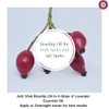 dève herbes Pure Rosehip Oil (Rosa rubiginosa) Cold Pressed 30ml