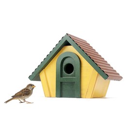 Spring World Cedar Bird House for Wrens and Chickadees. National Trusted Classical Design Traditional Wren House. Lifetime Lasting and Paintable Birdhouses.