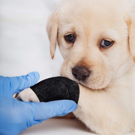 12 Pieces Self Adhesive Bandage Wrap Tape Stretch Self Adherent Cohesive Toe Tape for Sports, Wrist, Ankle, 5 Yards Each (Black, 2 Inches)