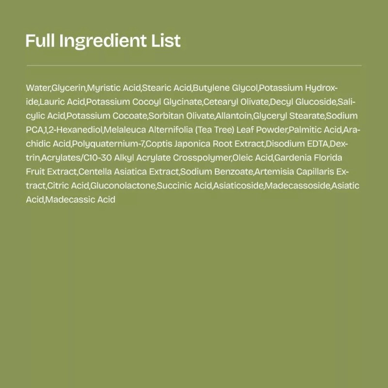 Orien Mugwort Zero Film Cleansing Foam 5.07 fl.oz 150ml Daily