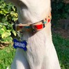 JULIA AND BRUNO Placa de Identificación para Perro con Personalización