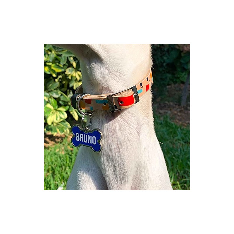 JULIA AND BRUNO Placa de Identificación para Perro con Personalización