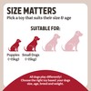 Rosewood Natural Nippers Loopy Dog Fun Ball, All Breed Sizes