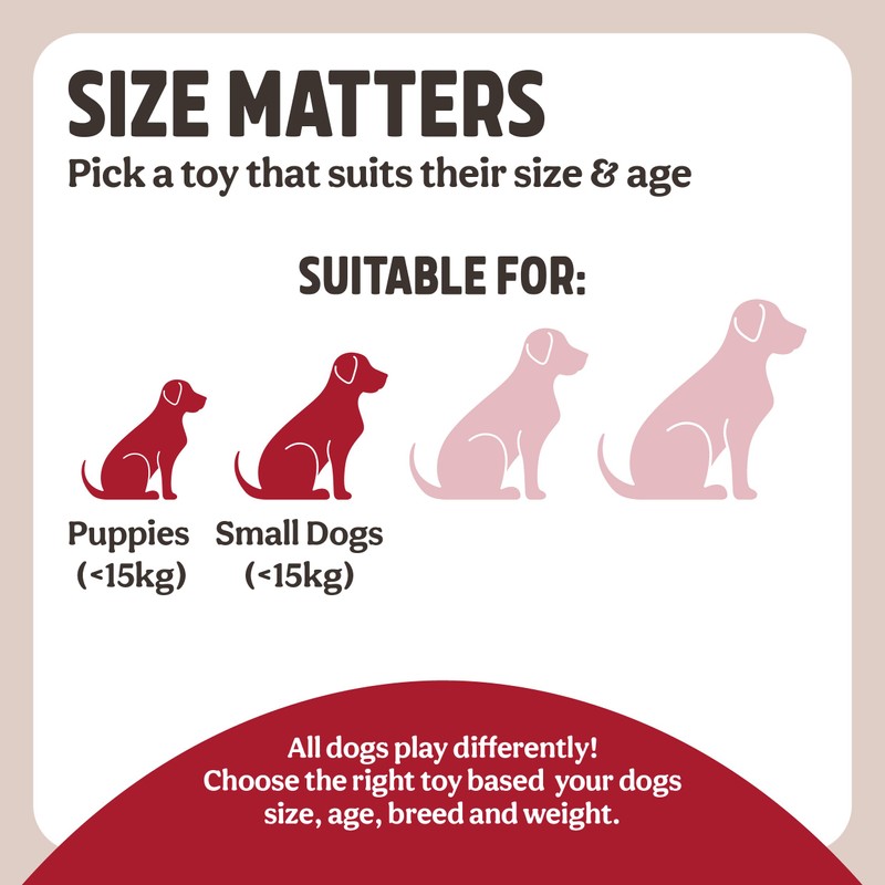 Rosewood Natural Nippers Loopy Dog Fun Ball, All Breed Sizes