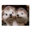 ProdBuy Home Cute Hedgehogs In Log Resin Garden Ornament
