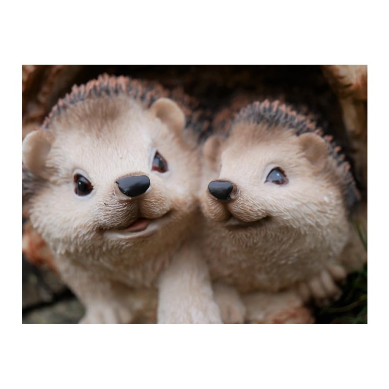 ProdBuy Home Cute Hedgehogs In Log Resin Garden Ornament