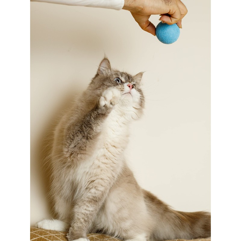 CattyMan Cat Cat Ball Play Karafuru