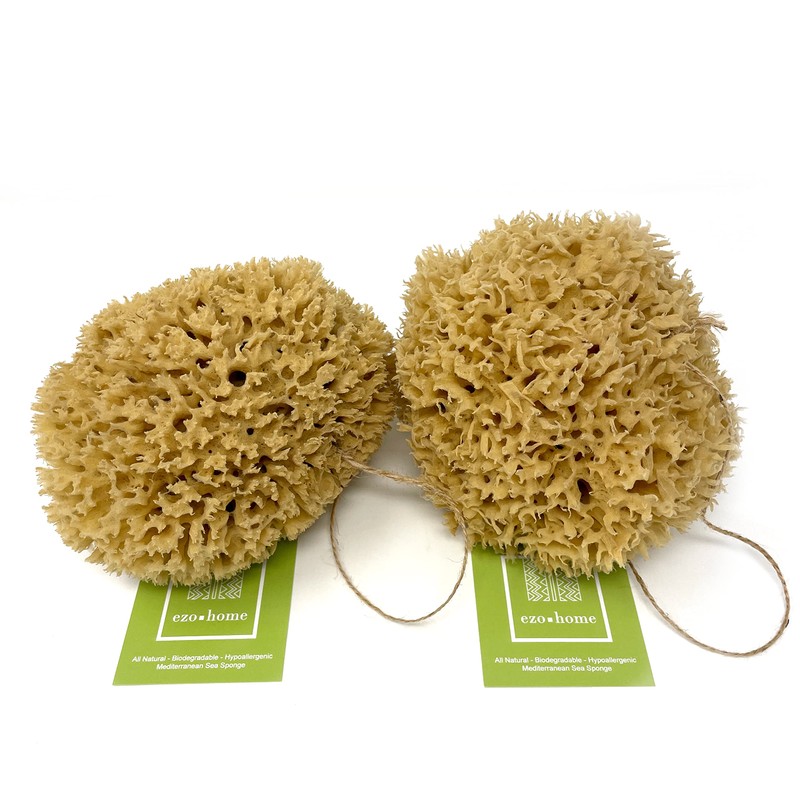 XXL Sea Sponge Very Large 20cm Unbleached Honeycomb Natural Seasponge