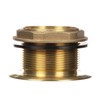 Encore E16-4060 Brass Sink Drain 2" L, 2-1/2" Dia. Sink