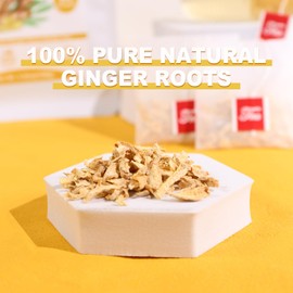 TEARELAE - Ginger Tea Bags, 64 Count - 100% Pure Ginger Root Tea, Soothing & Spicy - Non-GMO - Naturally Caffeine-free Herbal Tea - Aid Digestion & Support Respiratory