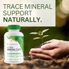 Youngevity Ultimate Mineral Caps™ - 70+ Essential Full Spectrum Trace