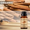 100% Pure and Natural Cinnamon Essential Oil - 10ML Aromatherapy