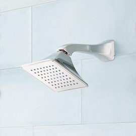 Signature Hardware SHSH2060G Vilamonte 1.8 GPM Single Function Shower Head - Polished Nickel