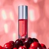 Catrice Eternal Red Cherry Bomb Lip Oil C02 Ruby Radiance