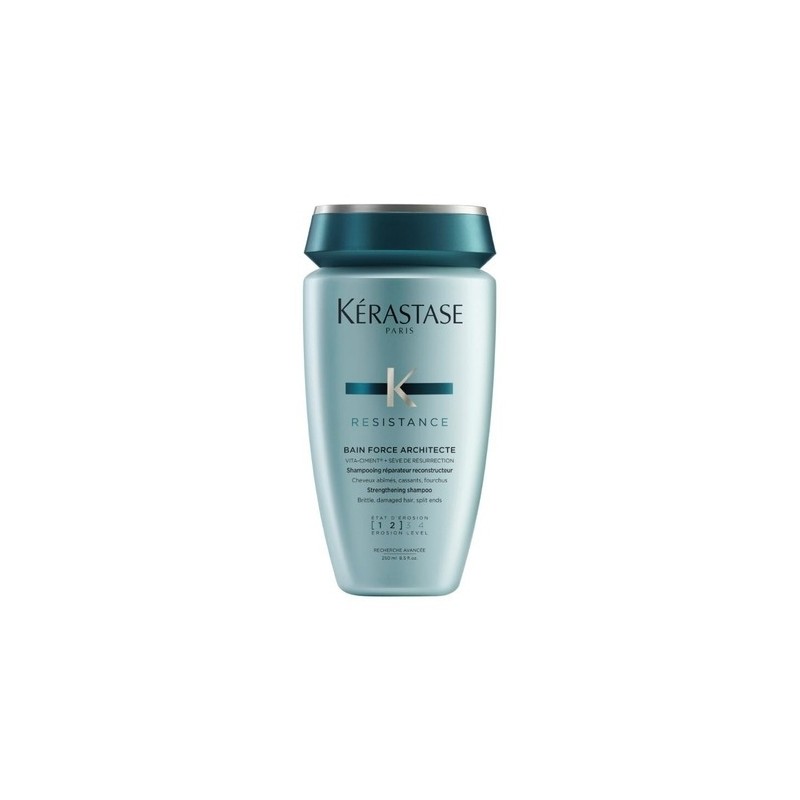 [Shampoo for damaged hair]Bang Force Architect 250ml / [손상 모발용