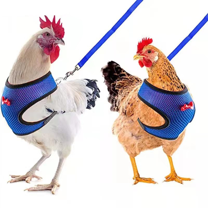 Pack of 2 Chicken Harness with Lead, Adjustable Chicken Harness