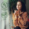 Herbal Magic 100% Pure & Natural Moringa Tea, A Natural