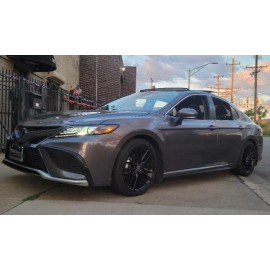 BASF Touch Up Paint for Toyota paint code 1H1, Predawn Gray.