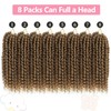Fulcrum Passion Twist Hair 10 Inch, 8 Packs Passion Twist