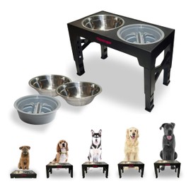 Oteengo 5-Tier Elevated Dog Bowls, Feeding Station Holder with 2 Stainless Steel +1 Slow Feeder Bowls Elevated, Water & Food Bowl Stand, Raised Dog Bowl Stand for Medium Size, Small & Large Breed