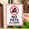 No Pets Allowed Aluminum Metal Business Sign | No Dogs,