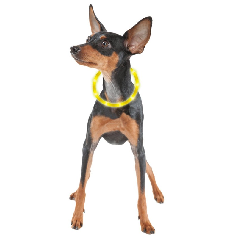 ペティオ (Petio) 首輪 ナイトウォーカー フラッシュリング イエロー 犬用