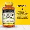 Mason Natural Ginger 500mg Daily Circulation Support Supplements 180 Softgels