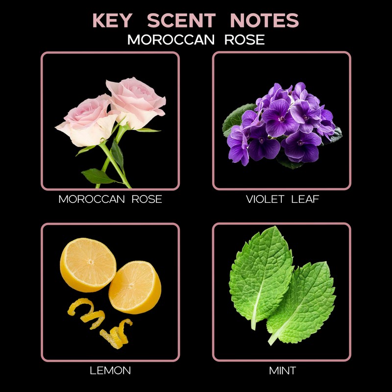 LOVSPA Moroccan Rose Scented Sticks Reed Diffuser Set – Soothing