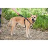 Karlie 57023 Car Safety Harness L 50 - 70 cm