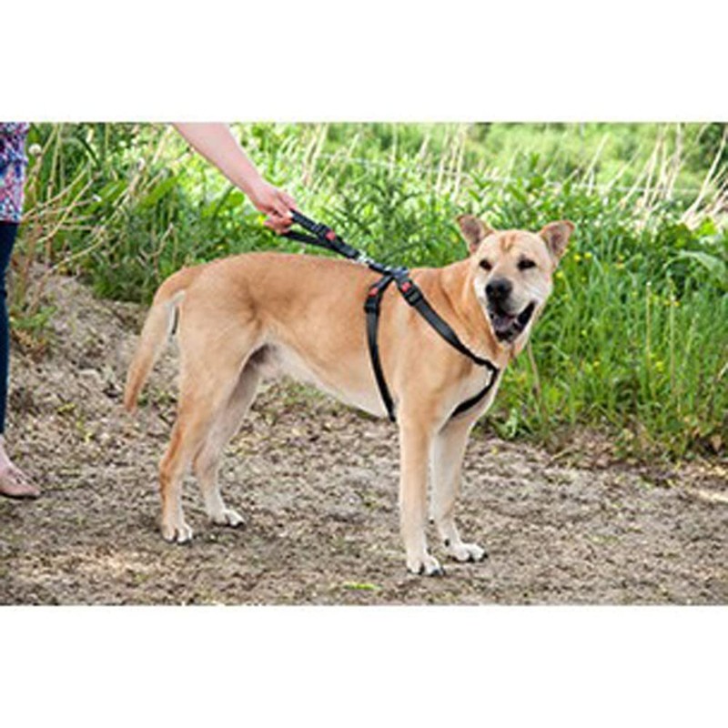 Karlie 57023 Car Safety Harness L 50 - 70 cm