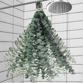 11 PCS Real Dried Eucalyptus Stem for Shower & Bathroom Decor - 17'' Large Natural Fresh Eucalyptus Leaves Hanging Plants, Shower Stuff Green Home Vase Decor, DIY