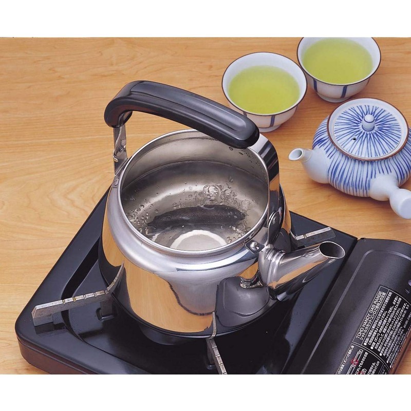 IWACHU 33003 Set of 2 Nanbu Tekki Iron Eggplants