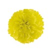 [合鹿 Paper 6185541] (care products) Flowerly that need Five Colors