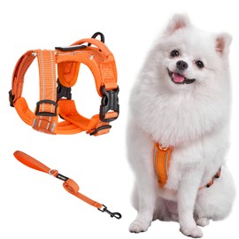 OneTigris ANTZ Tactical Harness Set for Small Dogs, and Lead with Light Reflective Band, Dog Harness with Handle for Small, Medium Dogs such as Chihuahua, Yorkshire, Viennese Dog, Orange, XS