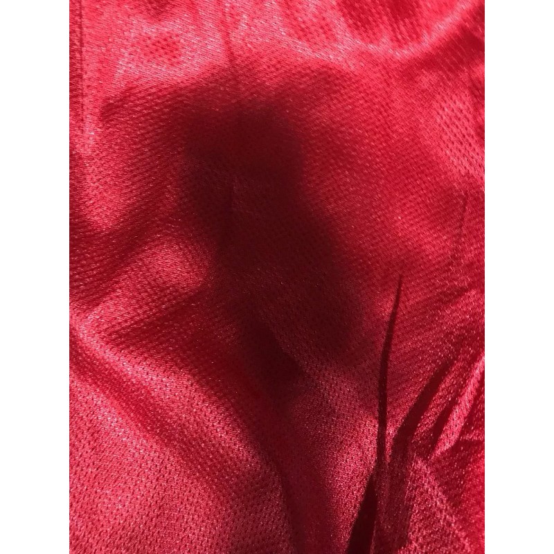 AW Sportswear Men's AW Sportswear Mesh Athletic Nylon Shorts M