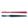 zi-si- (gc) For Dental purosupekku Adult 20 Pieces 4 Colors * Pieces Different Colors, Firm