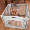 MyPet North States Petyard Plus: 3 Ft. Wide Folding Dog