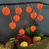 Peach String Lights,Peach Decor Night Light Battery Powered Pink Peach
