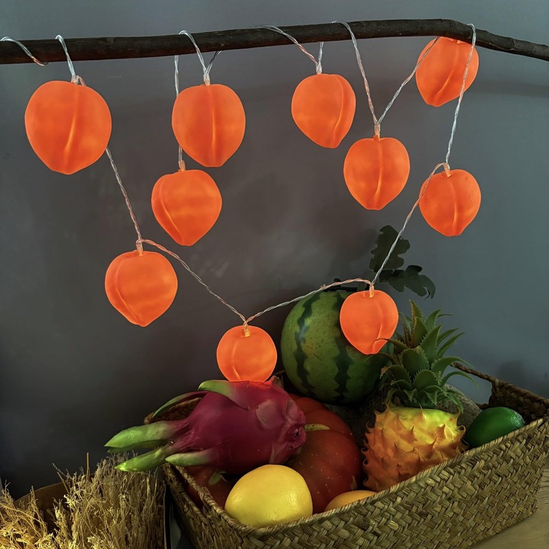 Peach String Lights,Peach Decor Night Light Battery Powered Pink Peach