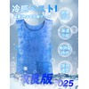 Holubec Cooling Vest, Cool Vest, Water Cooling Clothes, Summer Cooling