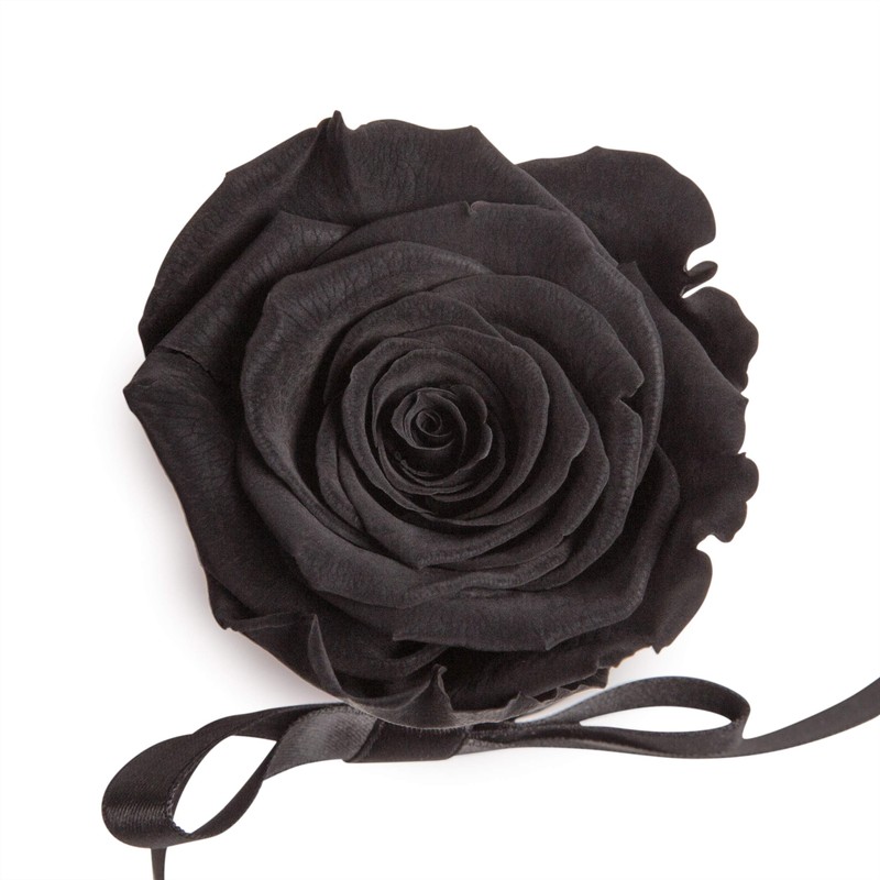 ROSEMARIE SCHULZ Heidelberg Small Rose Box White Round Infinity Rose