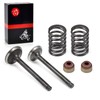 Intake Exhaust Valve Seal Spring Kit For Club Car Golf