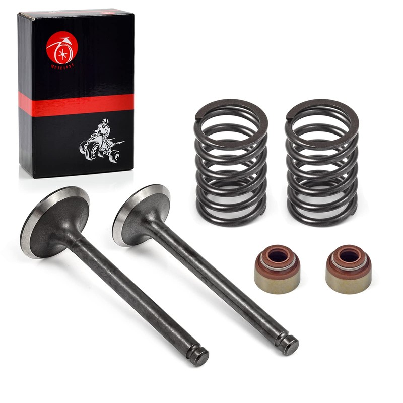 Intake Exhaust Valve Seal Spring Kit For Club Car Golf